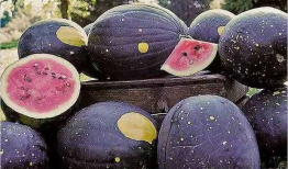 唐山吃瓜爆料是真的吗,真相还是谣言？